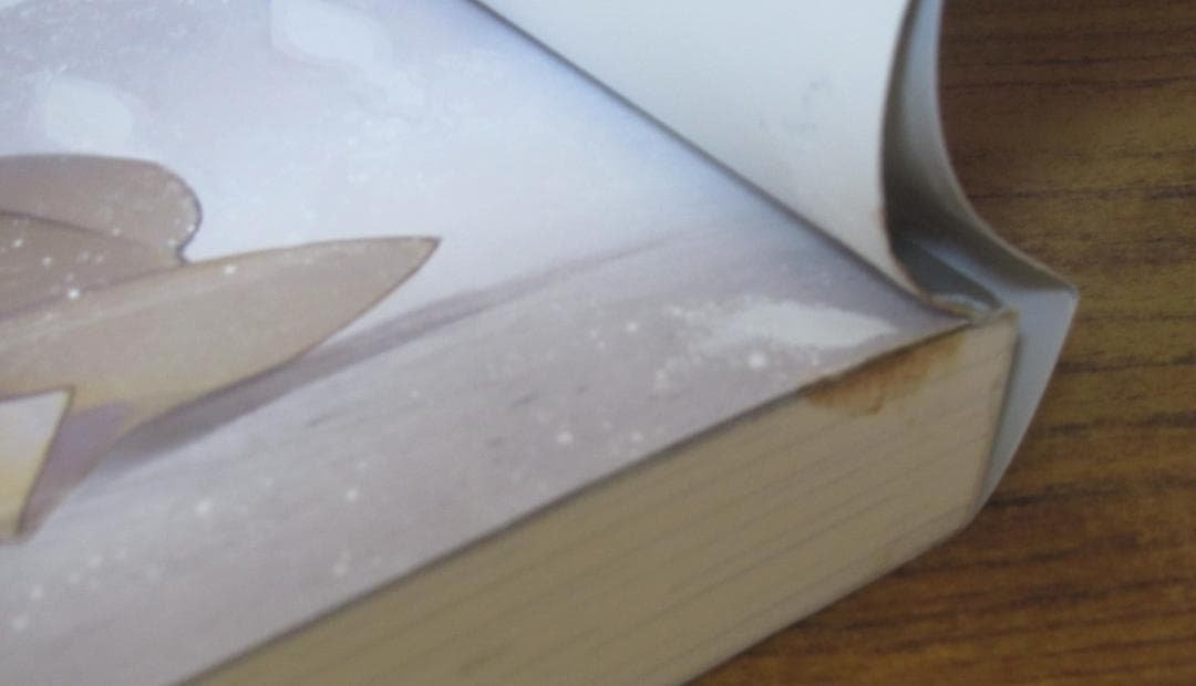 【ラノベ】本好きの下剋上　第一部～第五部＋外伝＋短編集　計39冊セット　◆全巻