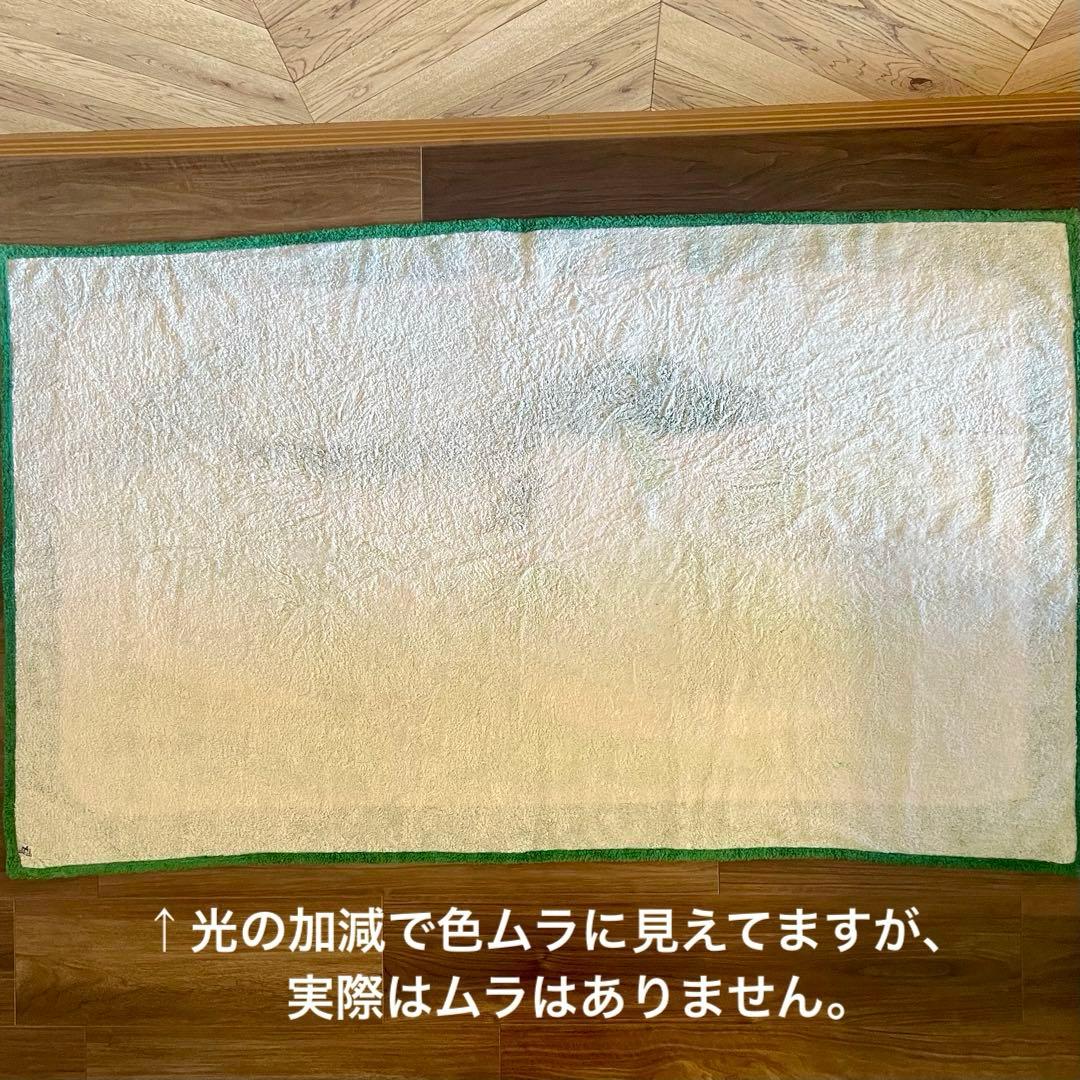 ⭐️超レア❗️良品❗️HERMES エルメス/大判ビーチタオル/レアなクジラ柄！