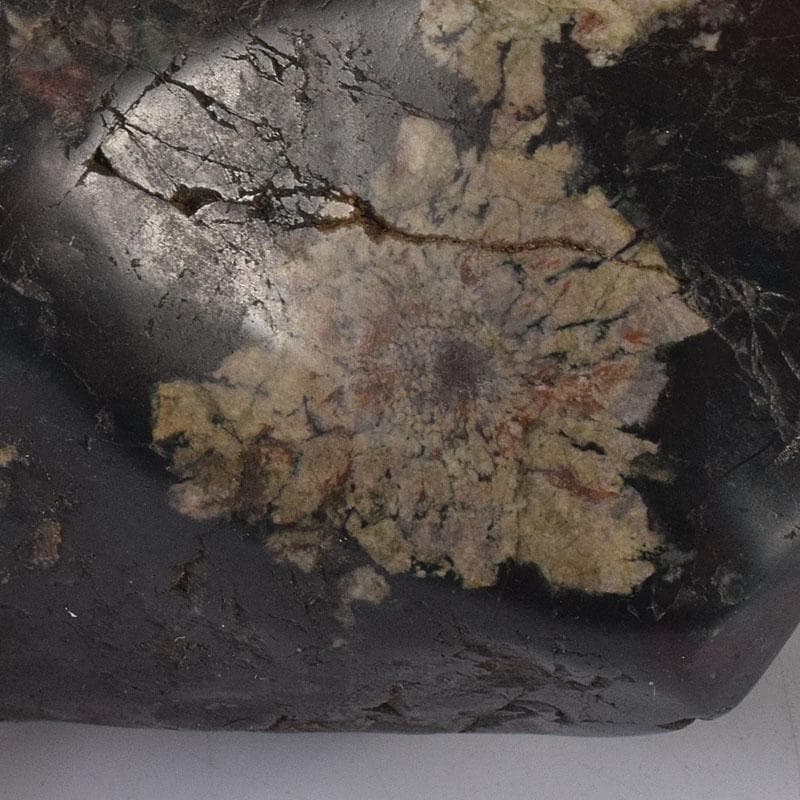 天然石　鑑賞石　菊花石　置物　重さ約788g　V　R8599