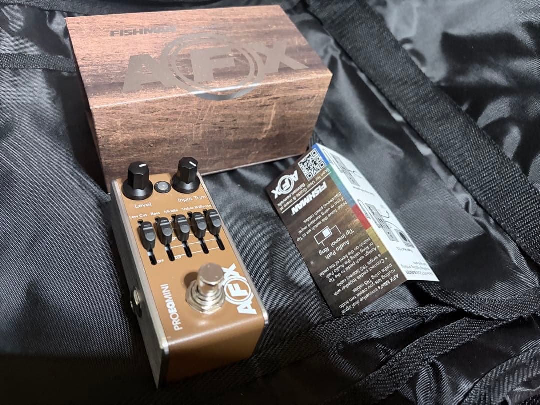 ARIA / APE-100 FISHMAN ProAfxEQ2&AURAセット