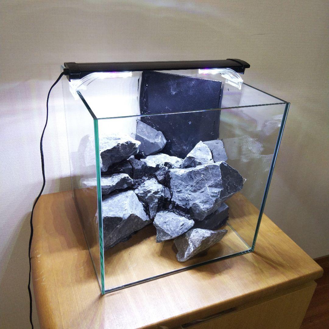 アクアテラリウム製作キット　イモリウム