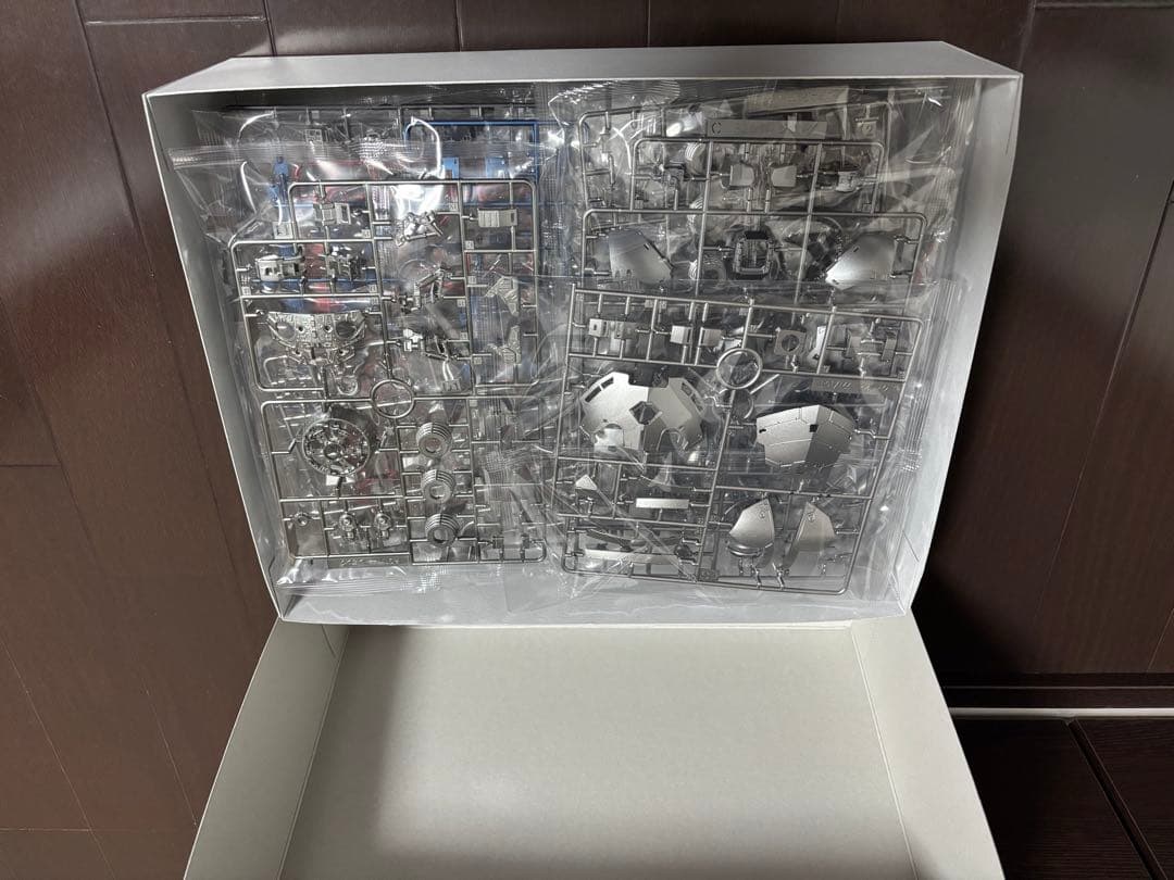 RG ジオング　スペシャルコーティング　未組み立て