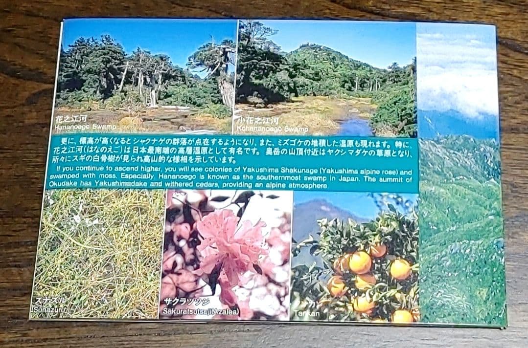 ★世界自然遺産貨幣セット　屋久島　５セット