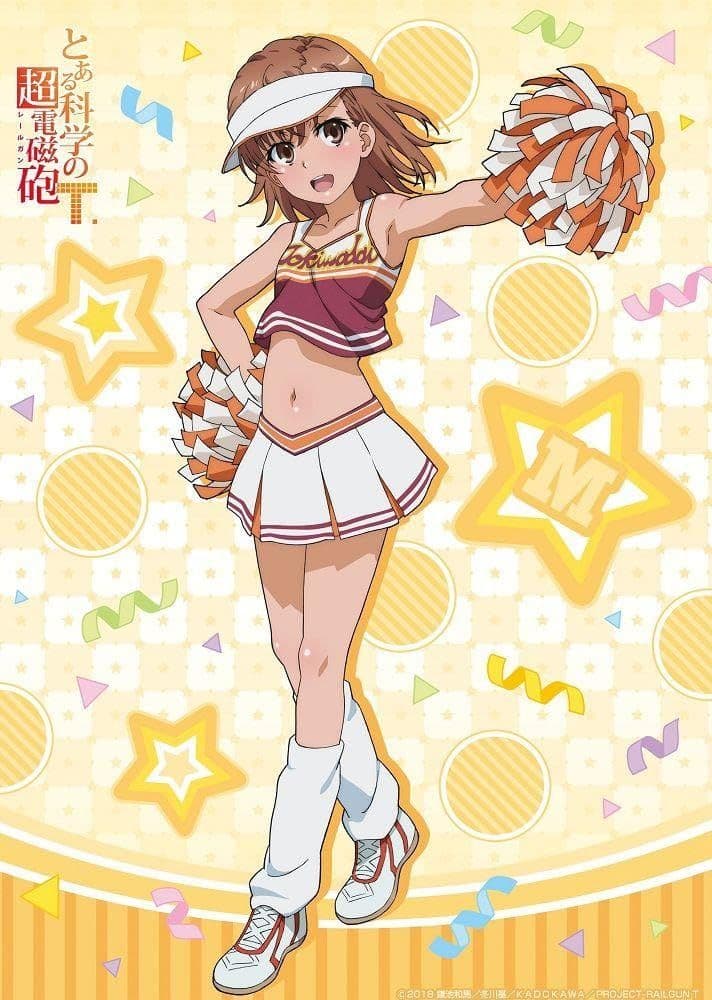 【新品未開封】とある科学の超電磁砲T 御坂美琴B2タペストリードンキホーテコラボ