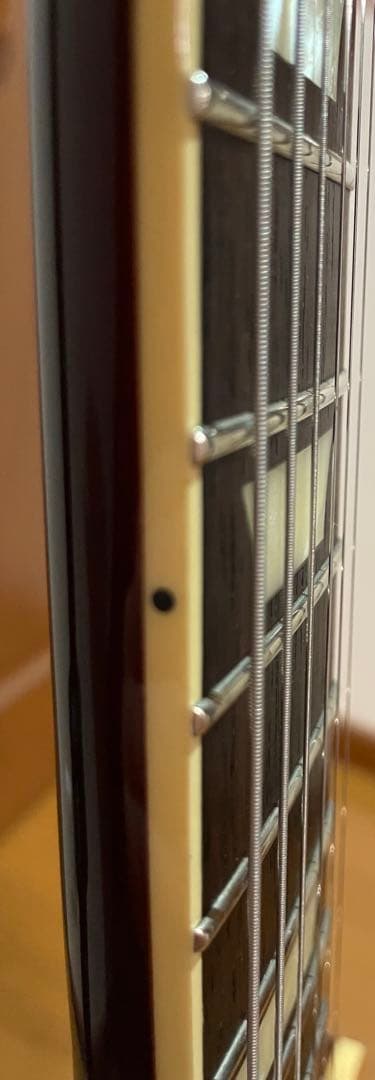 FGN（フジゲン）　NLS200-LD