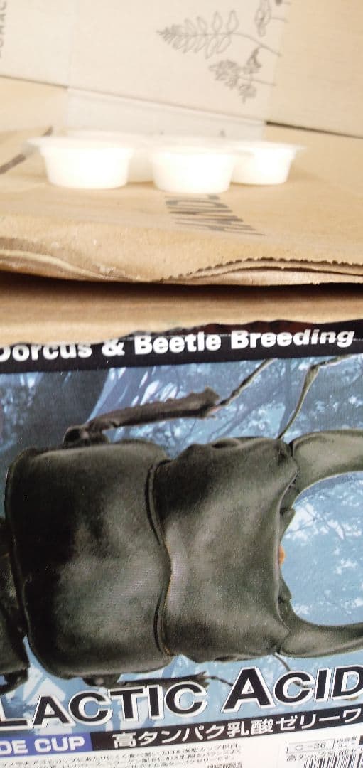 昆虫ゼリー　高栄養★ドルクスゼリー1000個★最安値２ケース