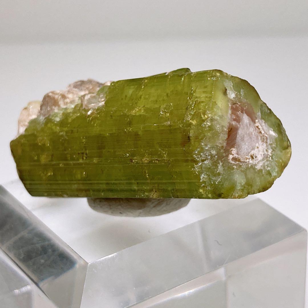 トルマリン　ウォーターメロントルマリン　鉱物標本　原石　305