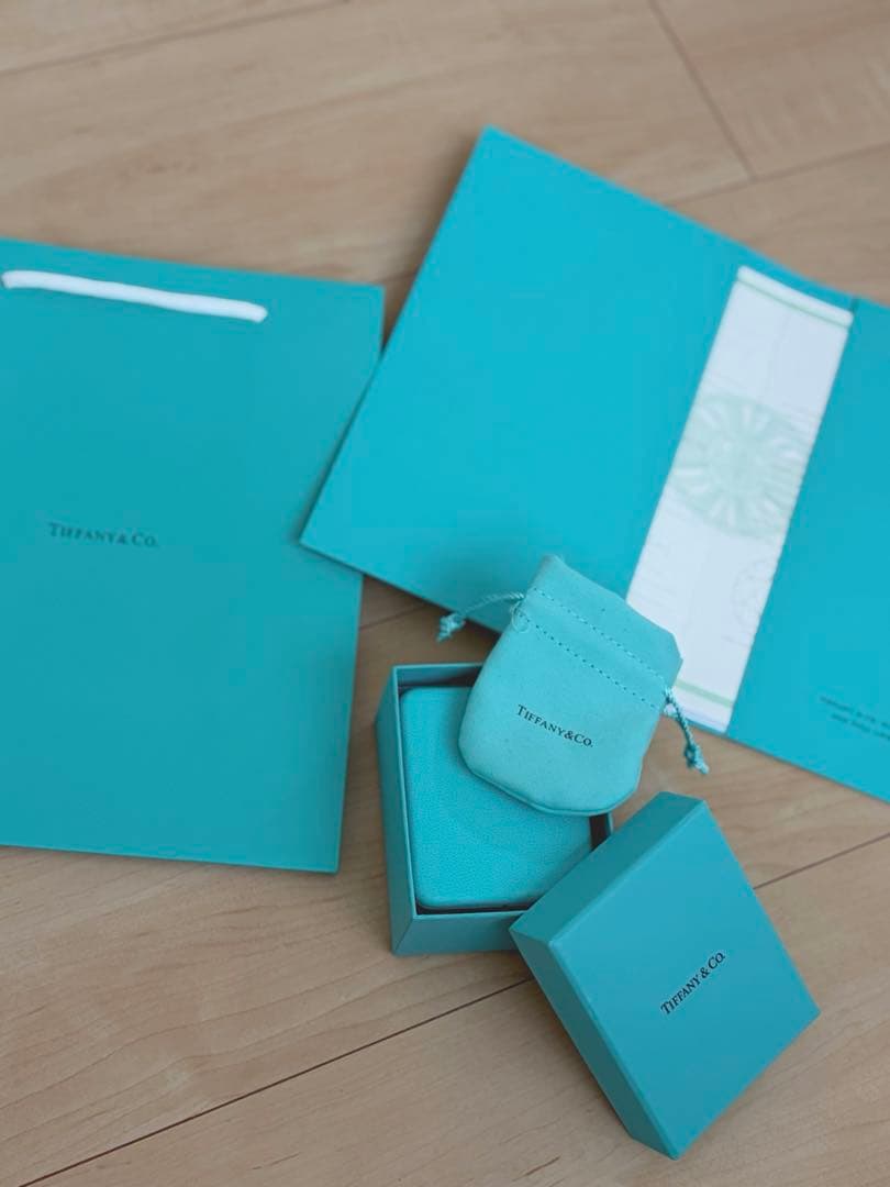 Tiffany & Co. ラージリンクピアス