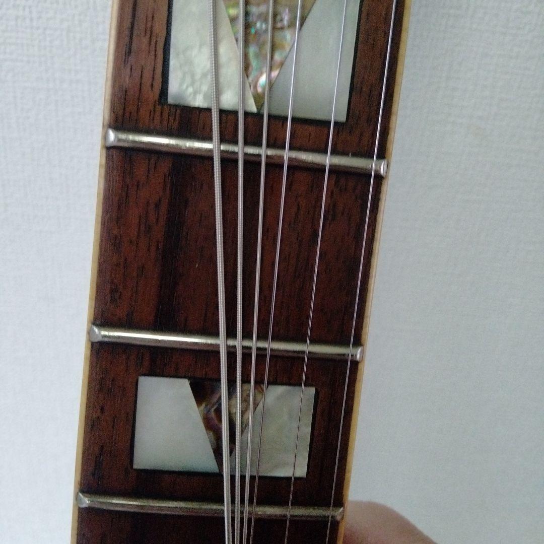 Jay Turser USAセミアコ