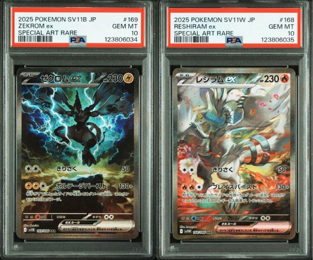 ゼクロムex レシラムex SAR PSA10 鑑定品 連番