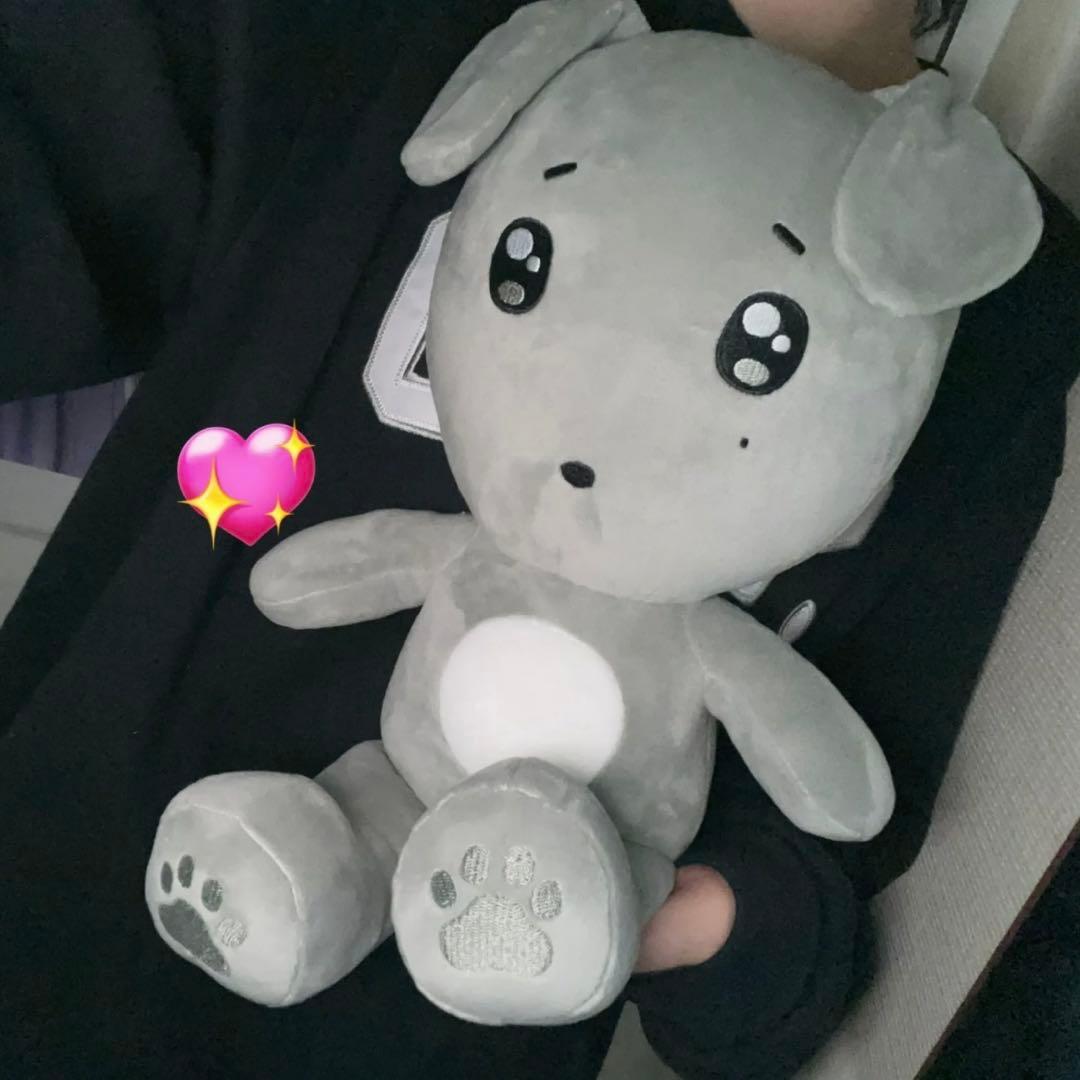 ドギョム 40cm ぬいぐるみ　新品　マスター　セブチ　svt