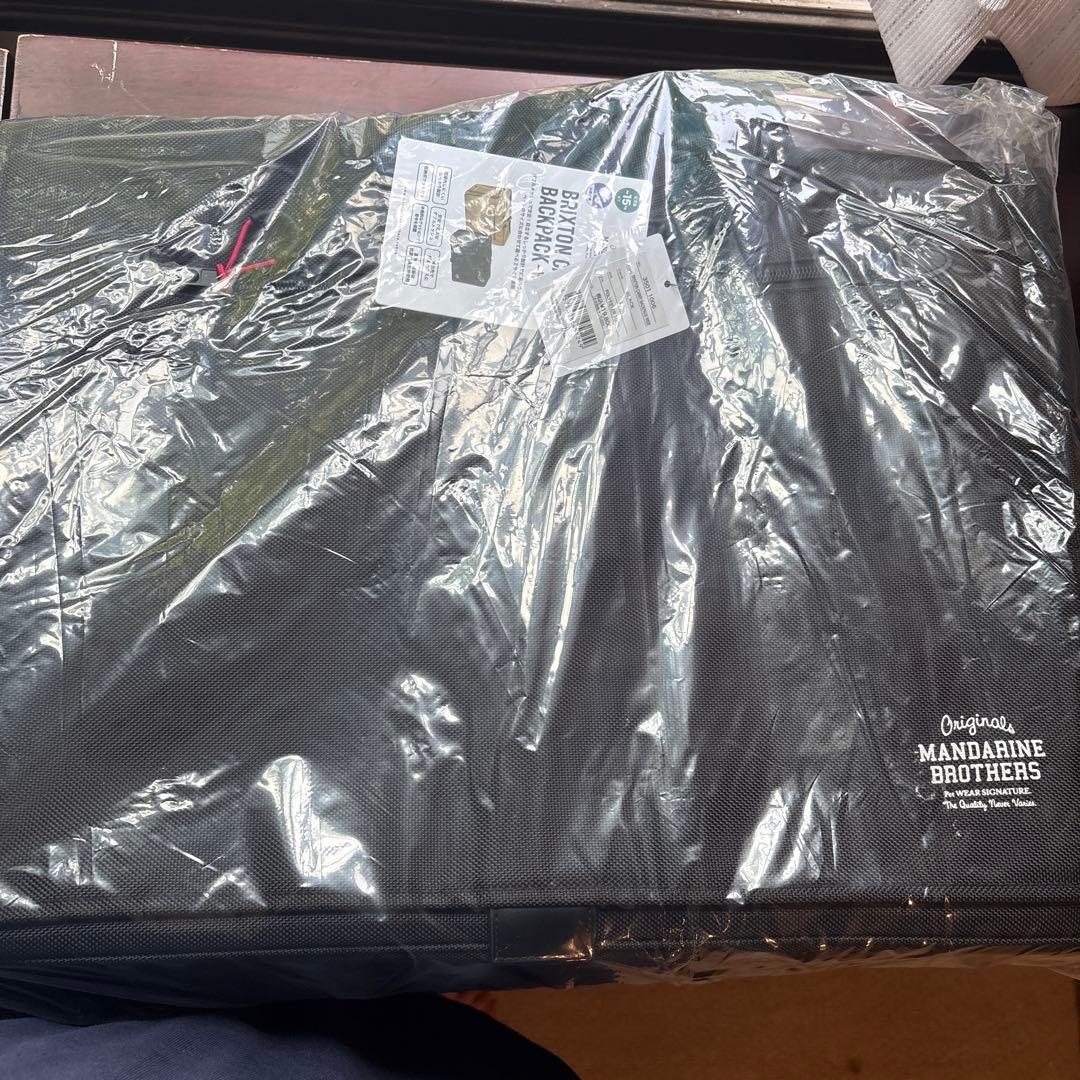 ブリクストンキャリーバックパック ワイド ※リニューアル　ブラックL