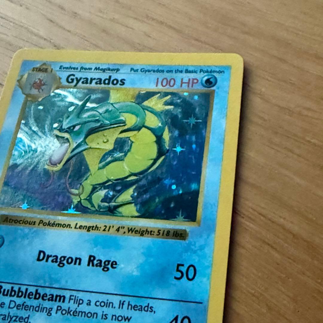 Pokemon Gyarados ギャラドス 初期 旧裏 ポケモン 海外