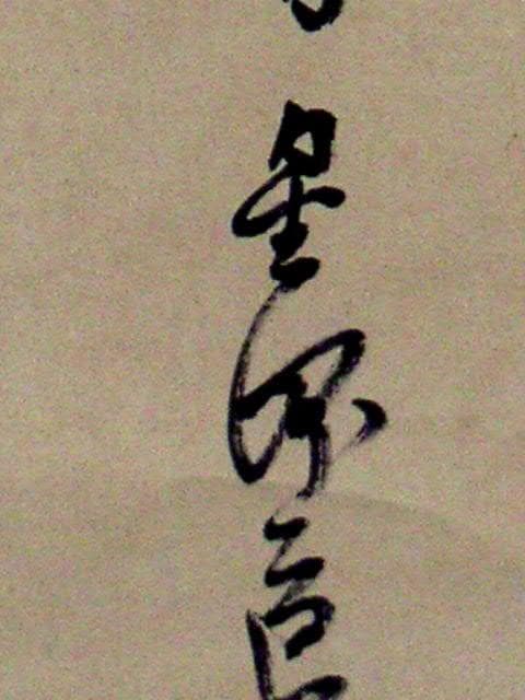 ♥掛軸　松に牡丹　 成木 星洲 　掛け軸　骨董品