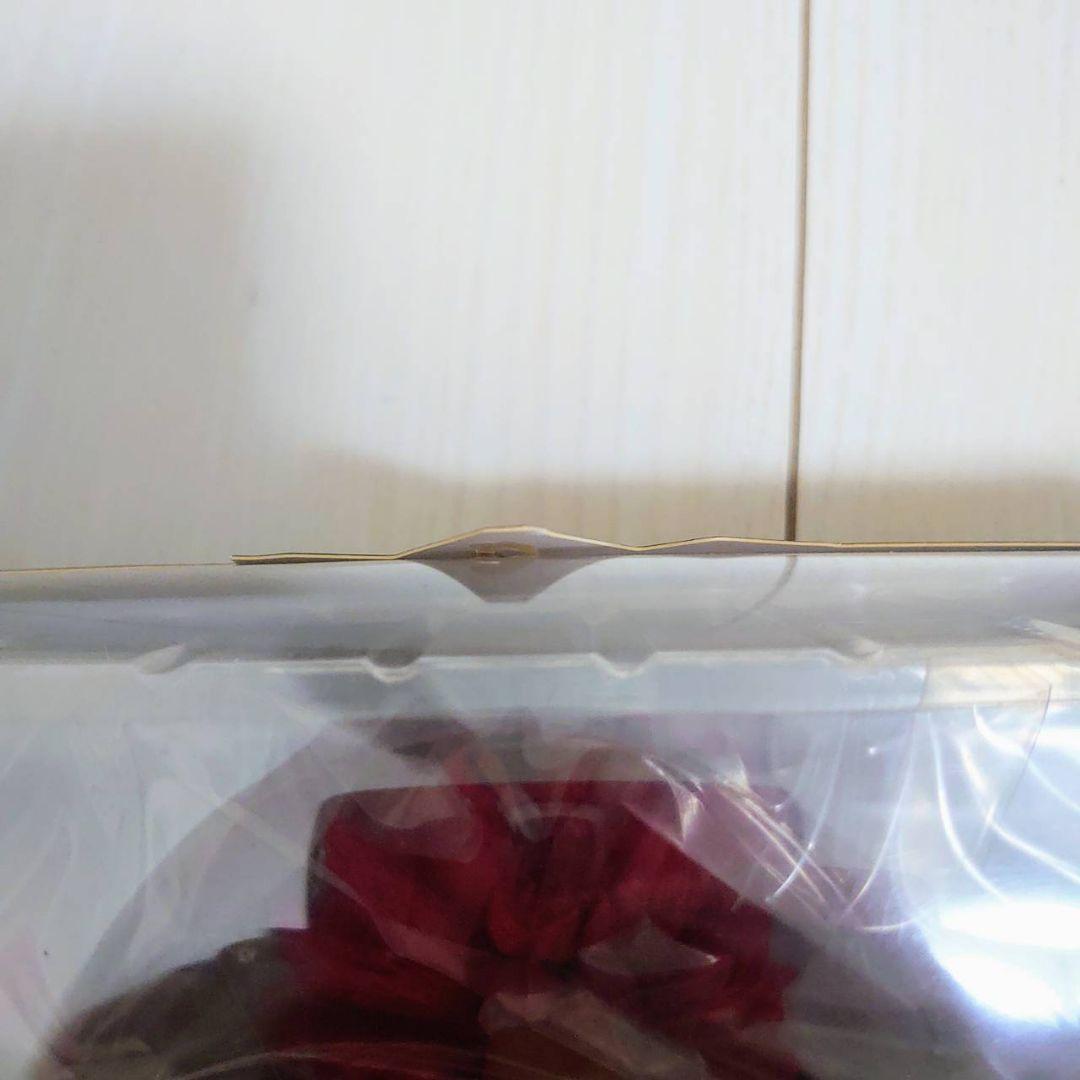 ストームコレクティブルズ ストリートファイターV 拳を極めし者 豪鬼 フィギュア