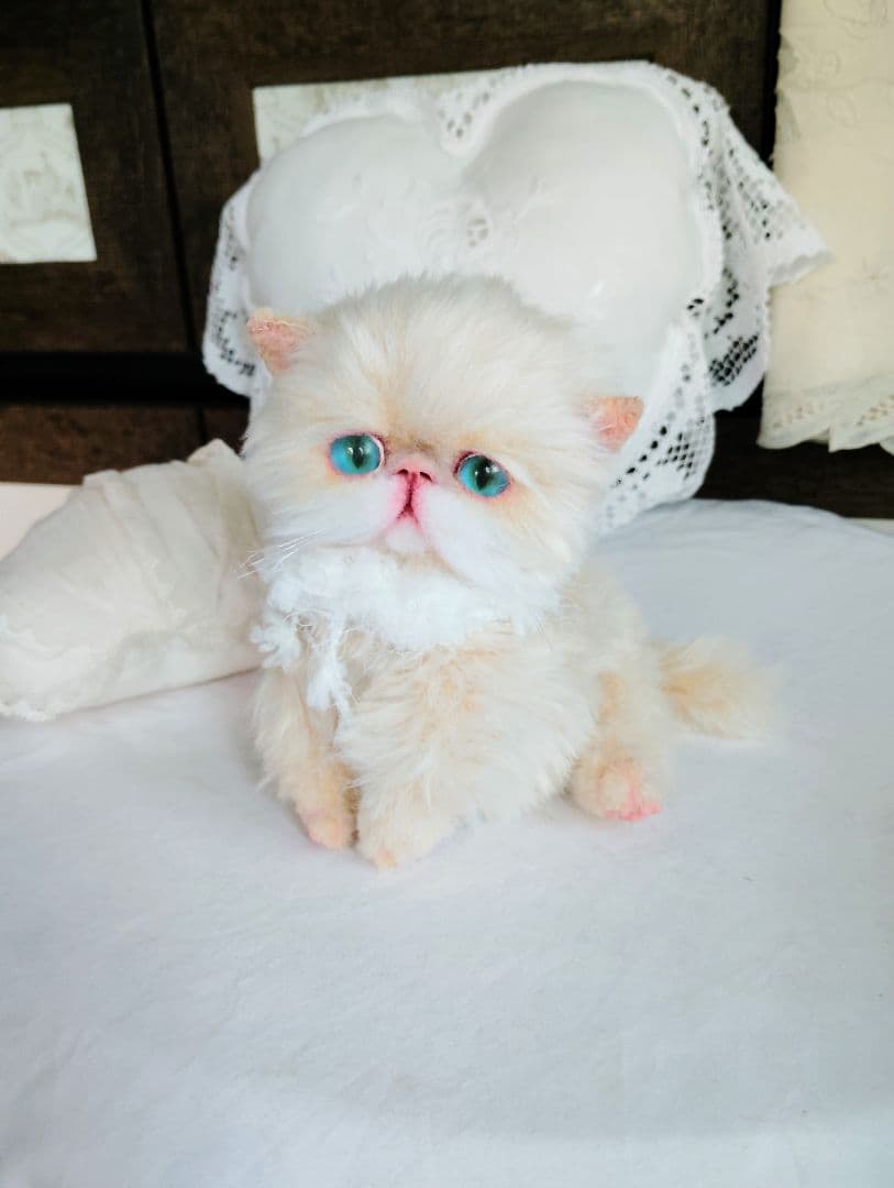 短足ころころボディ♡子猫ちゃん♡アートドール♡ぬいぐるみ♡