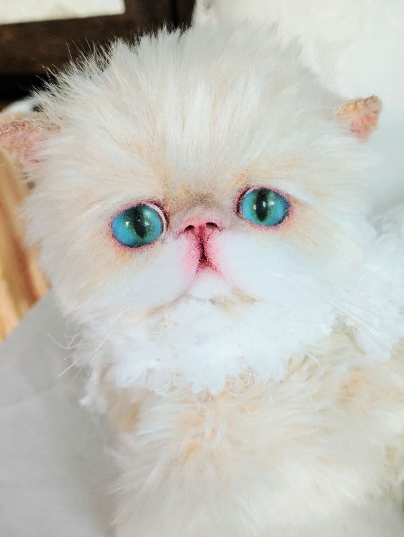 短足ころころボディ♡子猫ちゃん♡アートドール♡ぬいぐるみ♡