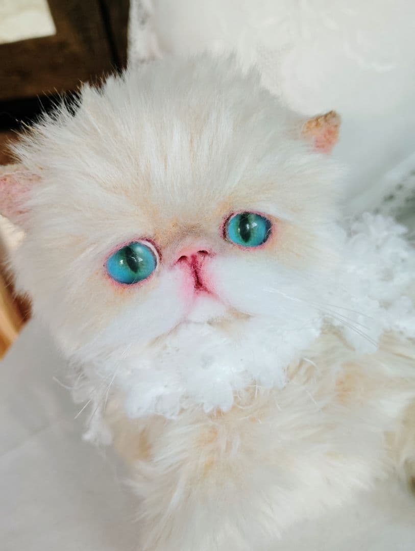 短足ころころボディ♡子猫ちゃん♡アートドール♡ぬいぐるみ♡