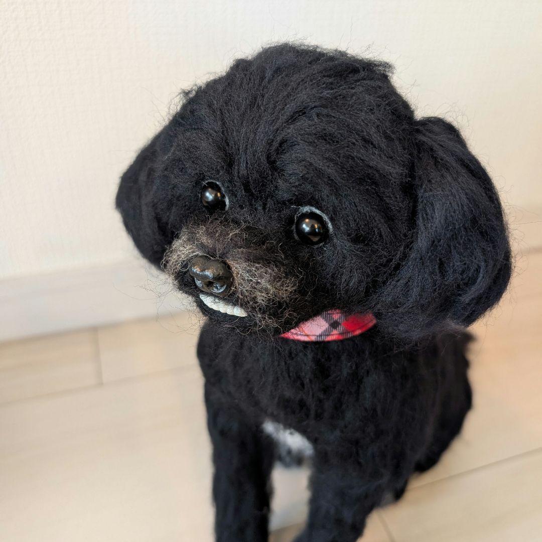 ほのかページです