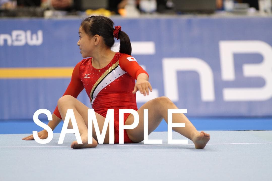 【セール中】2005～2015年 女子体操画像集(日本選手中心) 約4万枚