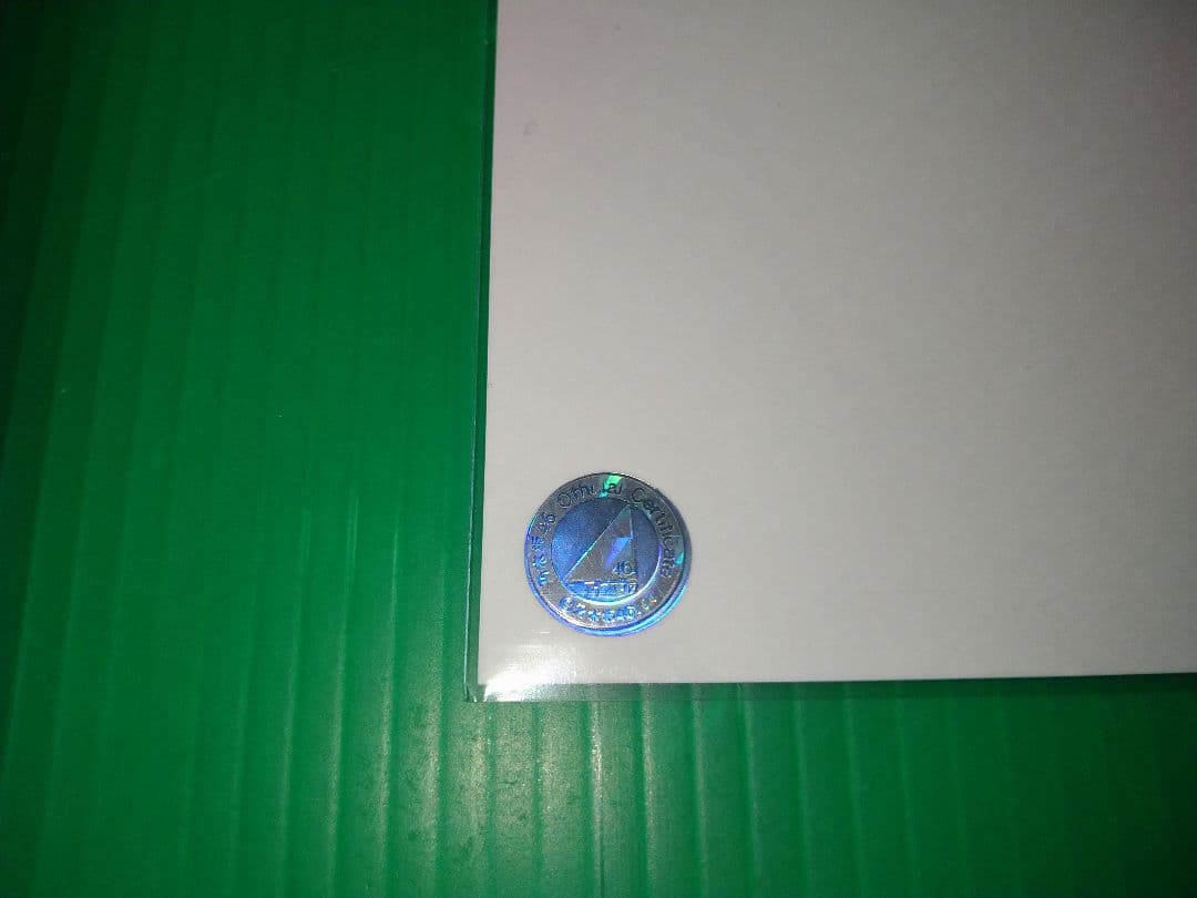 乃木坂46 『齋藤飛鳥』 スペシャル衣装35 直筆サイン入り 生写真