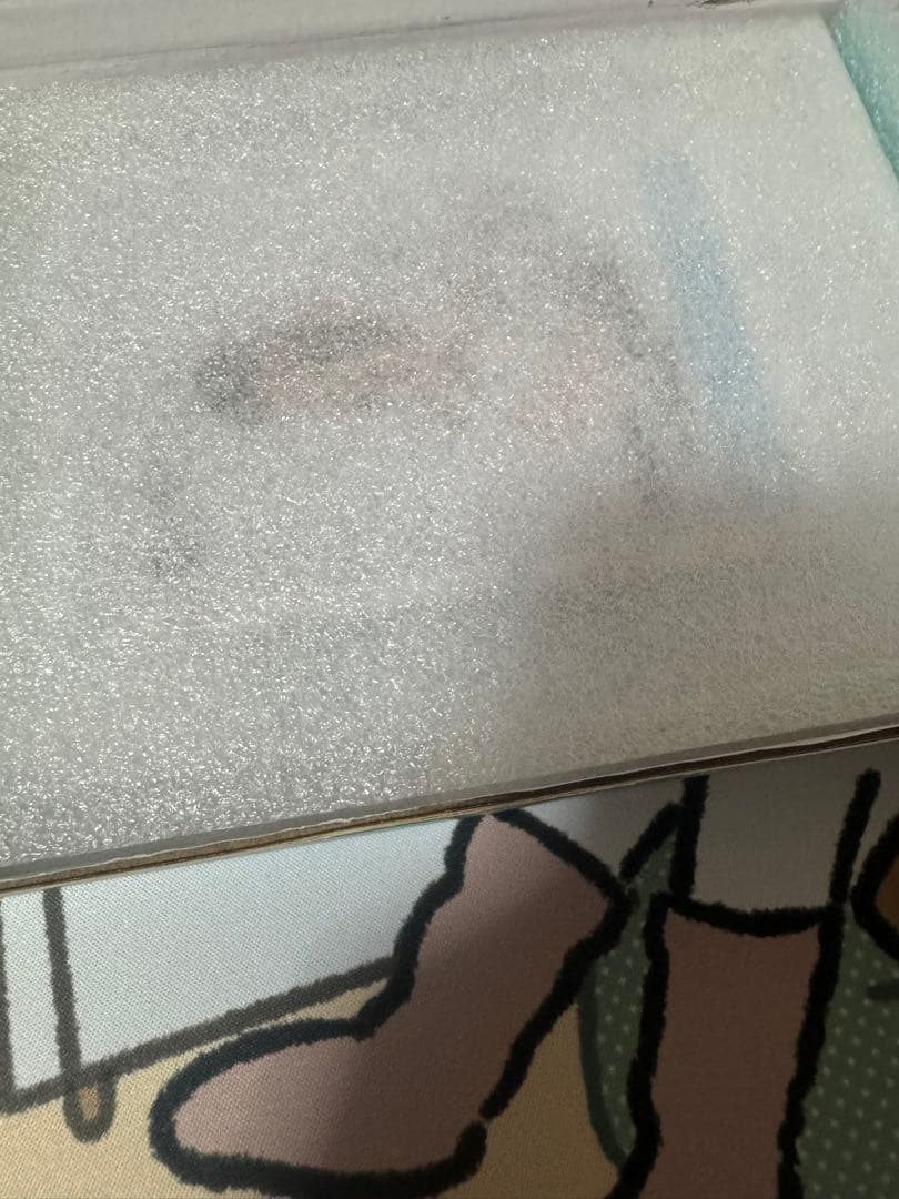 日向坂46 小坂菜緒 直筆サイン入り生写真