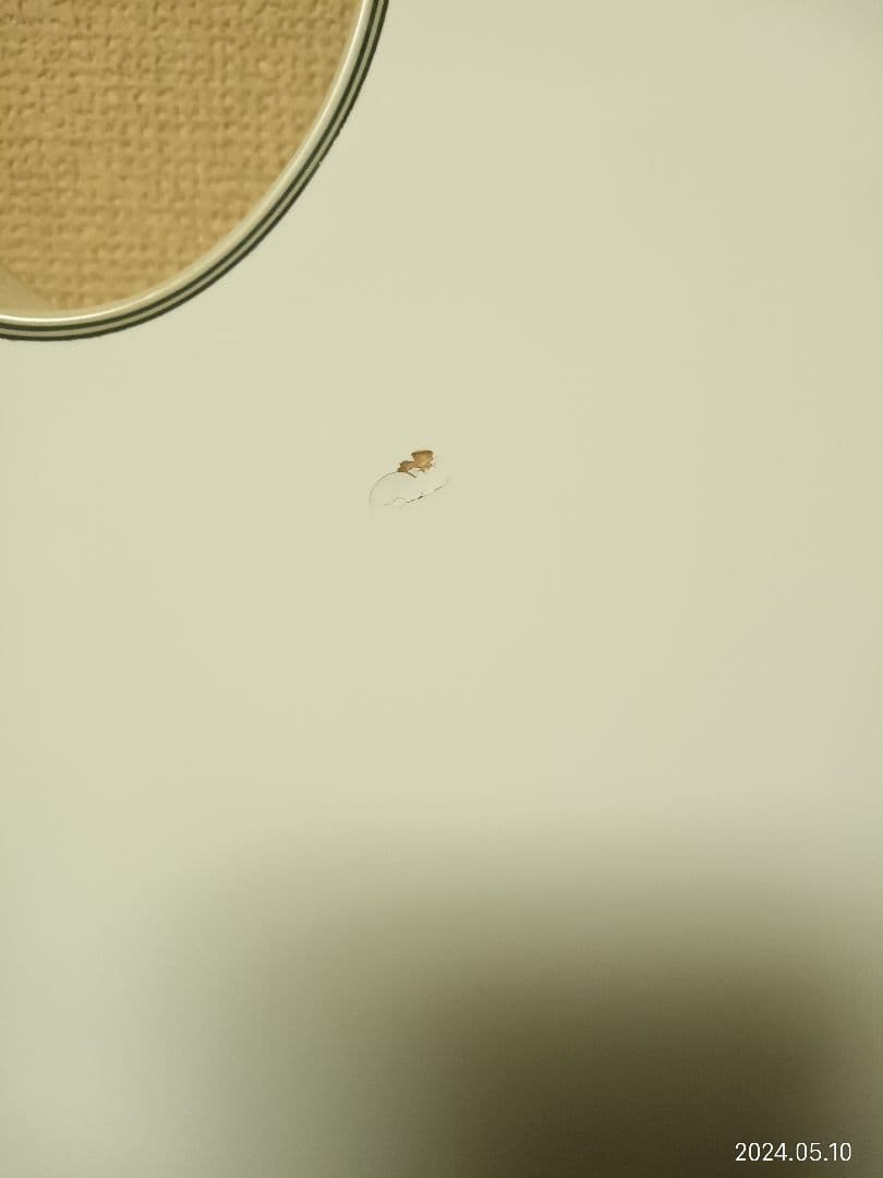 ☆MG1☆期間限定セール!!新品弦交換済 glassrootレスポールカスタム☆