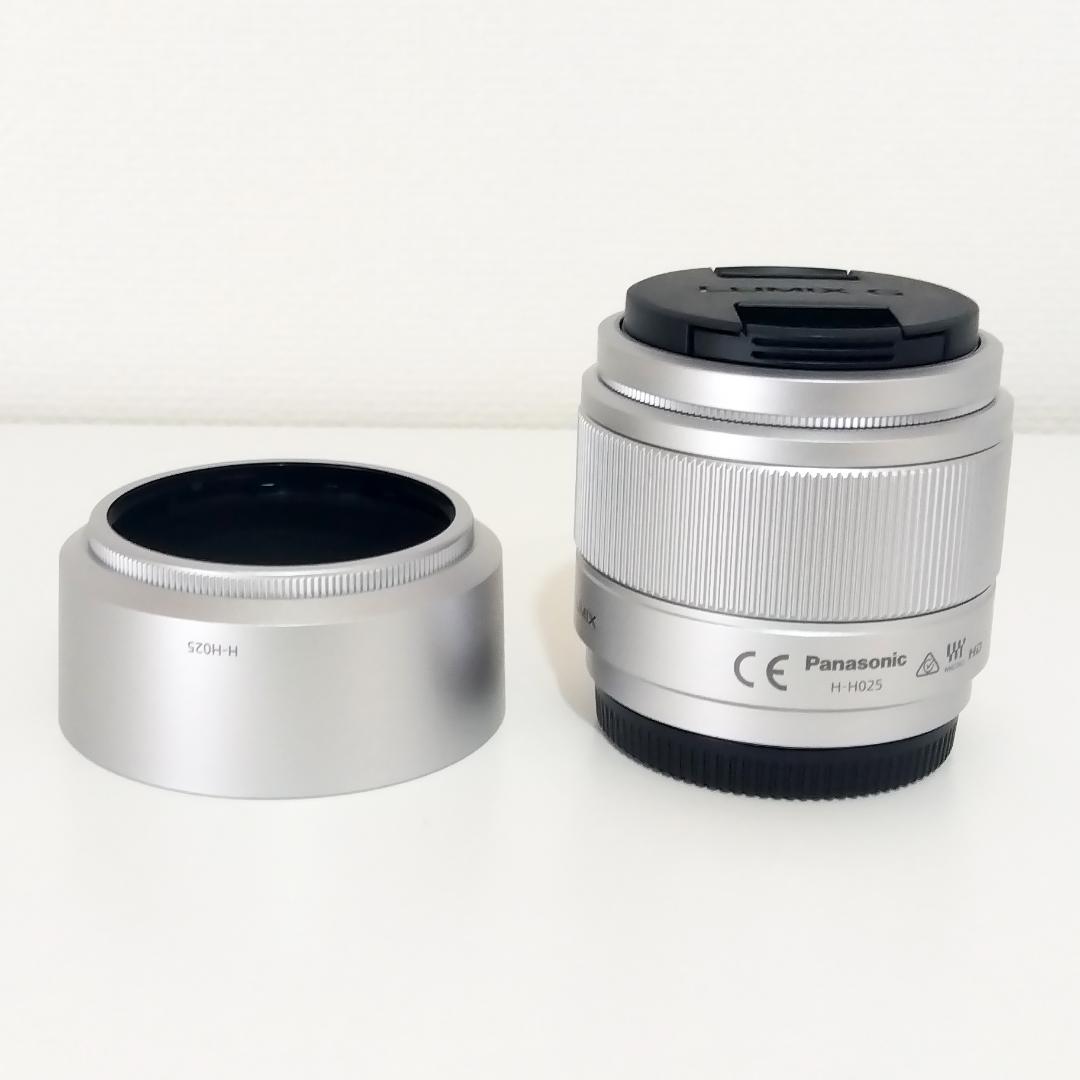 美品☆Panasonic LUMIX DC-GF9 ミラーレス一眼 ダブルレンズ