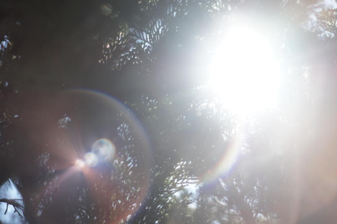 作例あり PENTAX Super Takumar 55mm f1.8 前期型