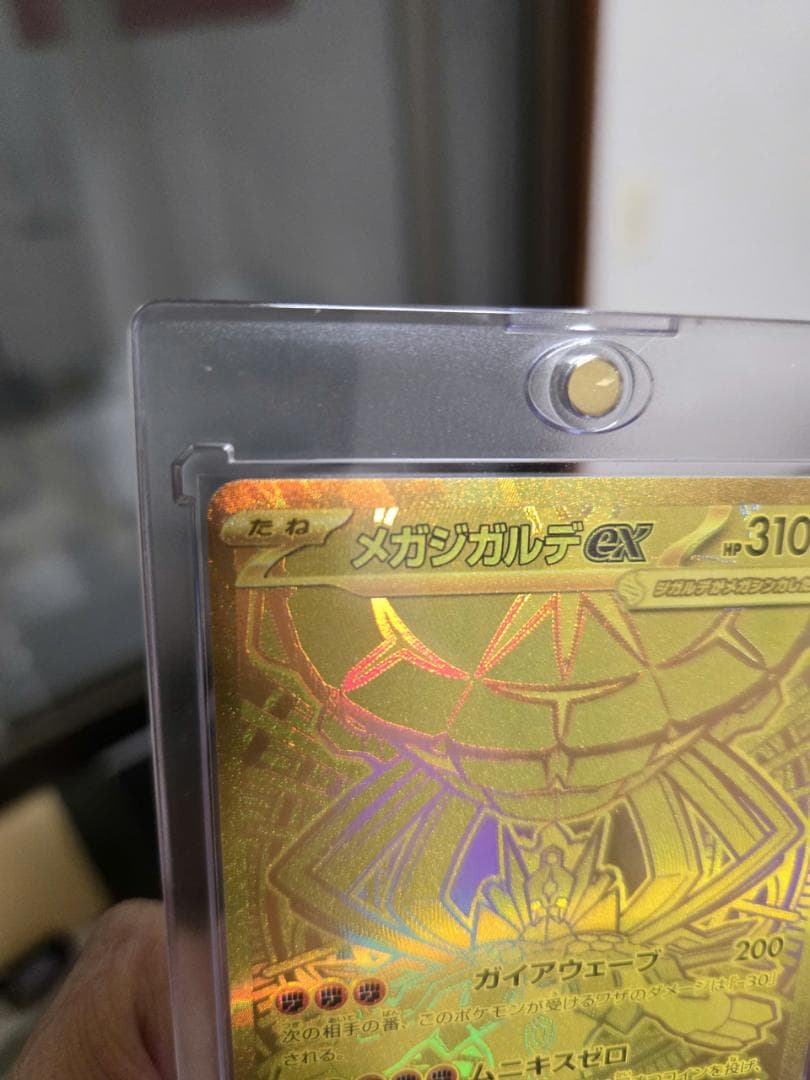 メガジガルデex MUR ムニキスゼロ [117/080]