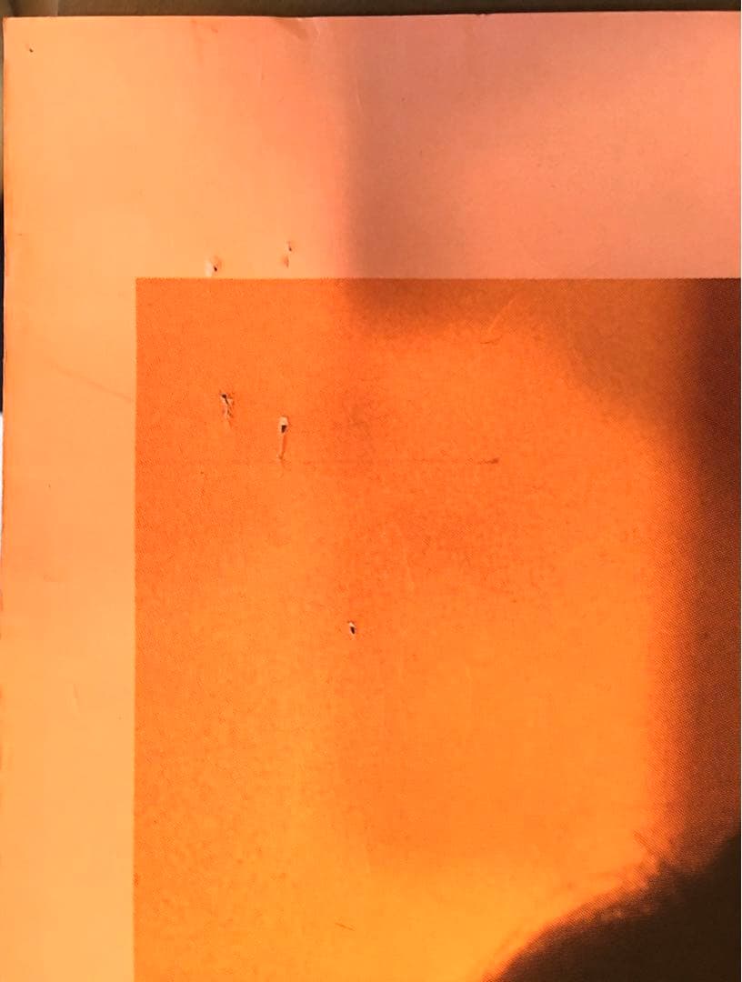 山口小夜子　1983年　資生堂ポスター　ビンテージ