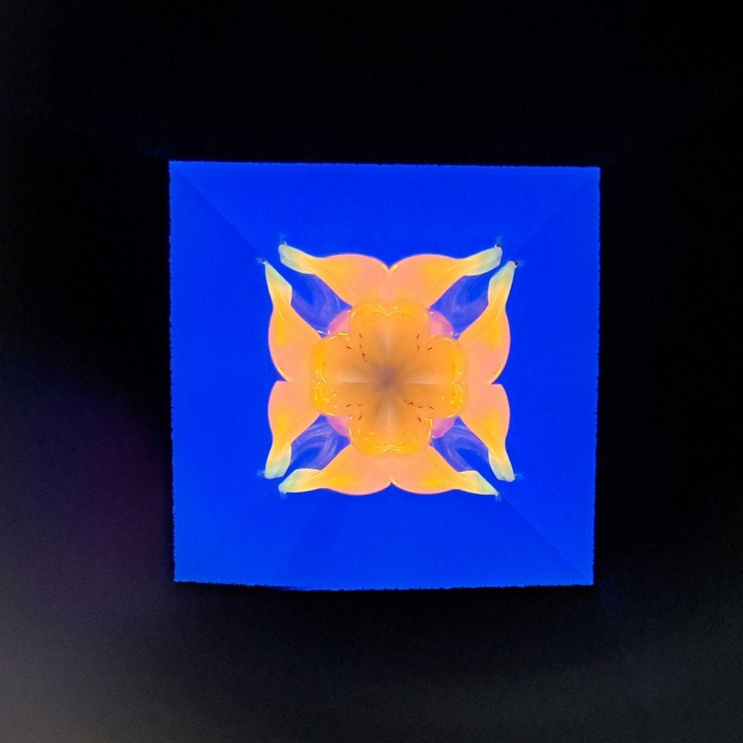 最終価格　代永正樹さん　万華鏡　1点物