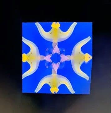 最終価格　代永正樹さん　万華鏡　1点物