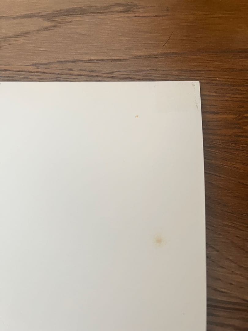 Luscious Jackson シルクスクリーンポスター TAZ kozik