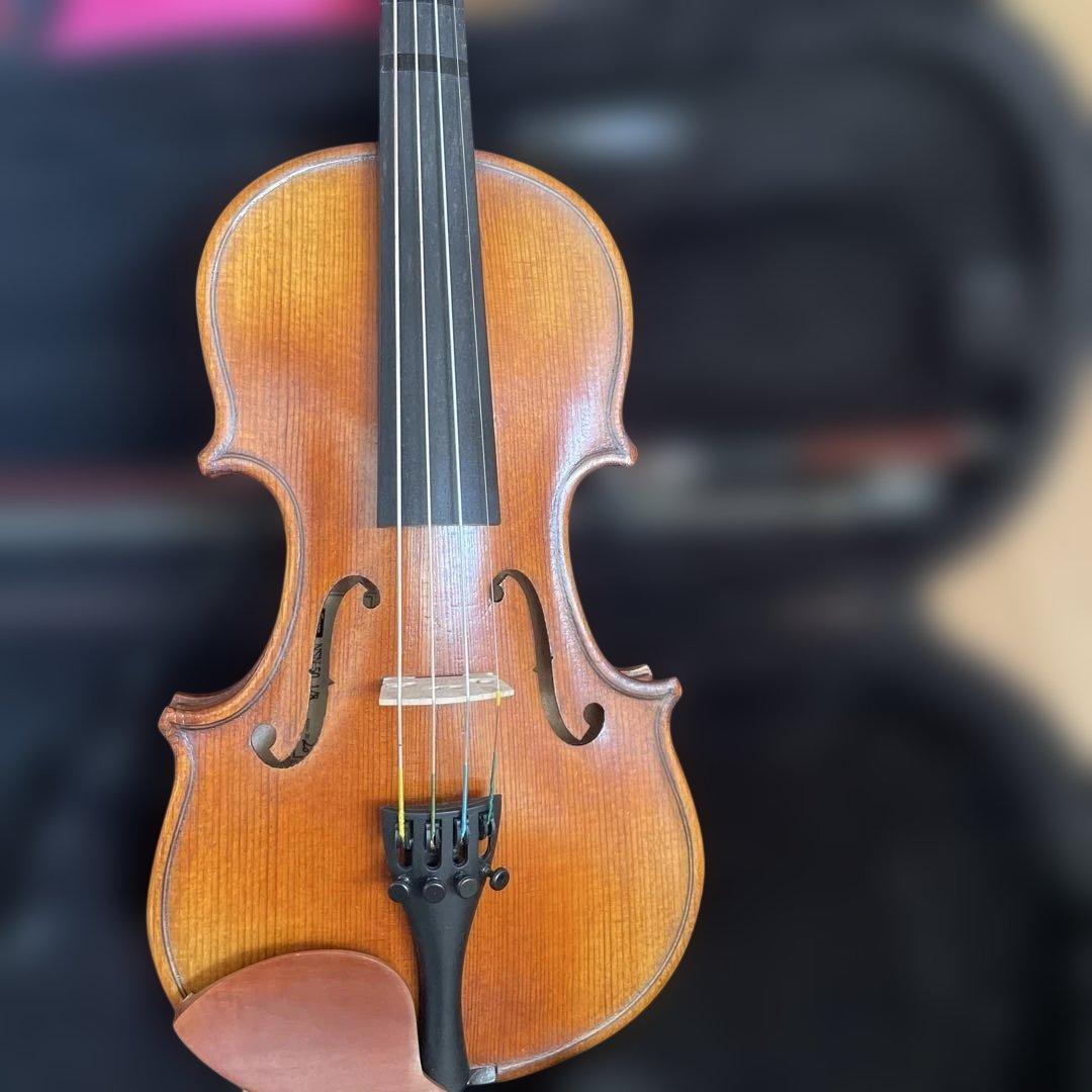 【希少】ヴァイオリン CARLO GIORDANO VS-2 1/8 バイオリン