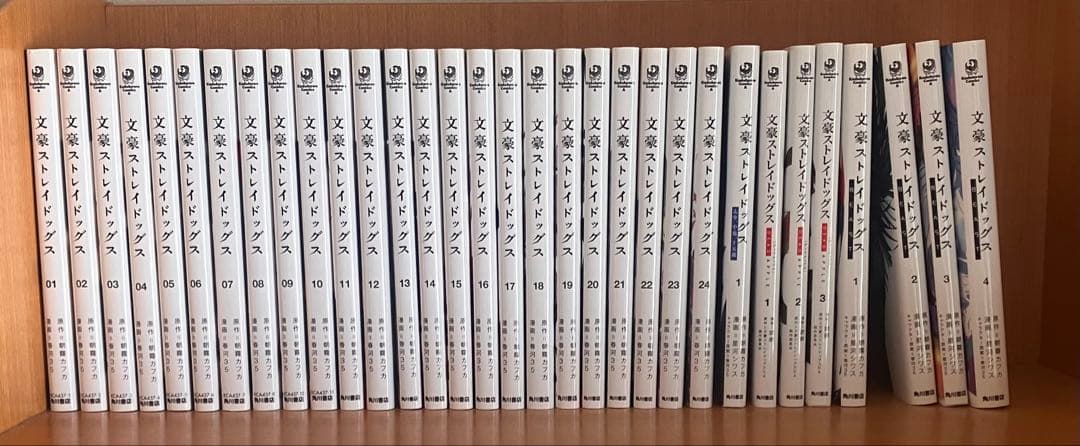 文豪ストレイドッグス1巻~24巻　beast1巻~4巻　その他