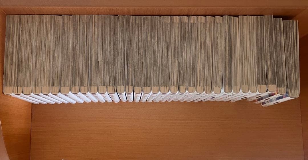 文豪ストレイドッグス1巻~24巻　beast1巻~4巻　その他