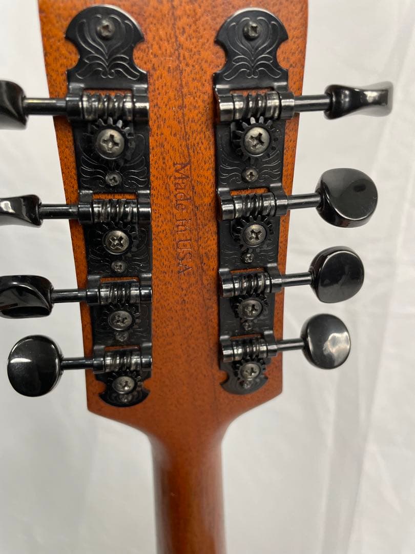 タコマ/Tacoma フラットマンドリン m-1