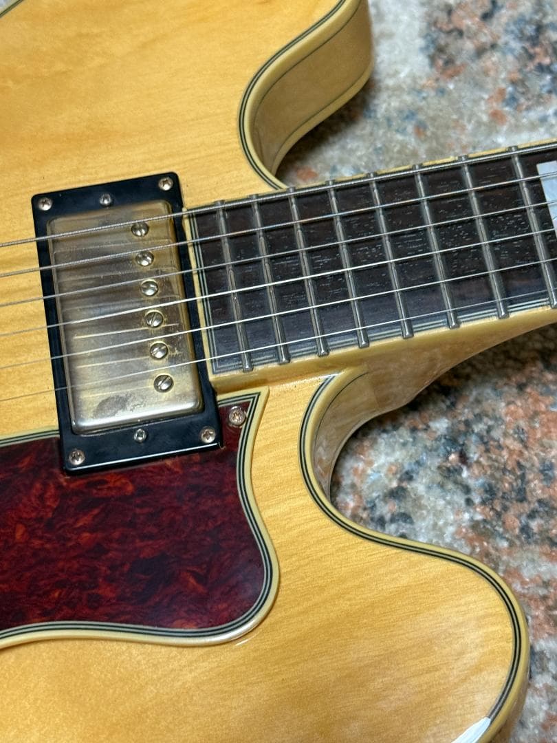 Epiphone SHERATON II 2014ｓ