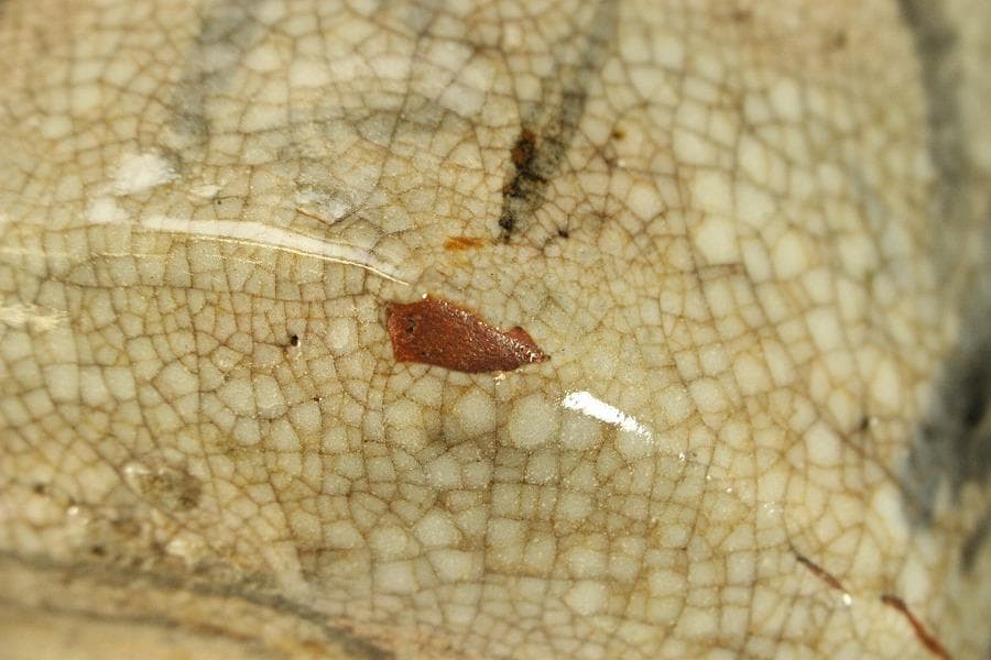 茶道具 絵志野 水指 時代物(ZE574)