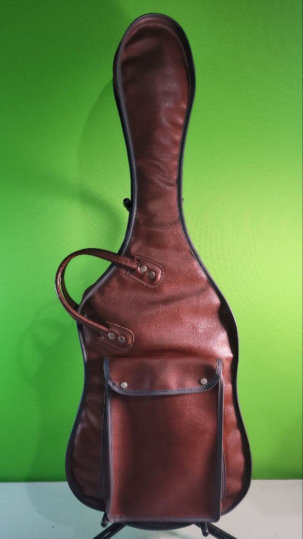 AriaPro ii PE-JR750 エレキギターソフトケース付動作品