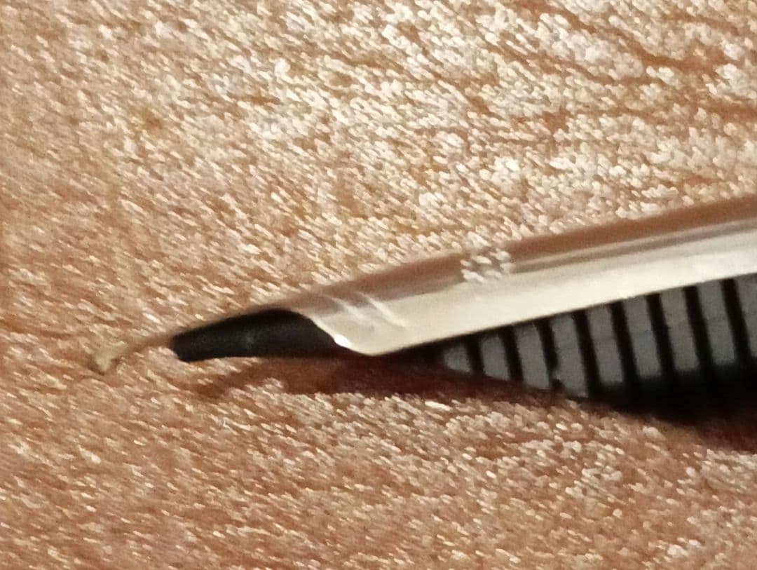 プラチナ忍野　六花SMニブつき