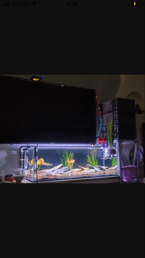 水中ポンプ25wホース濾過マット付き大型水槽万能濾過装置濾過外部式濾過層送料込み