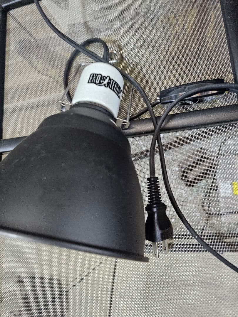 製飼育ケージ エキゾテラ 引取り限定