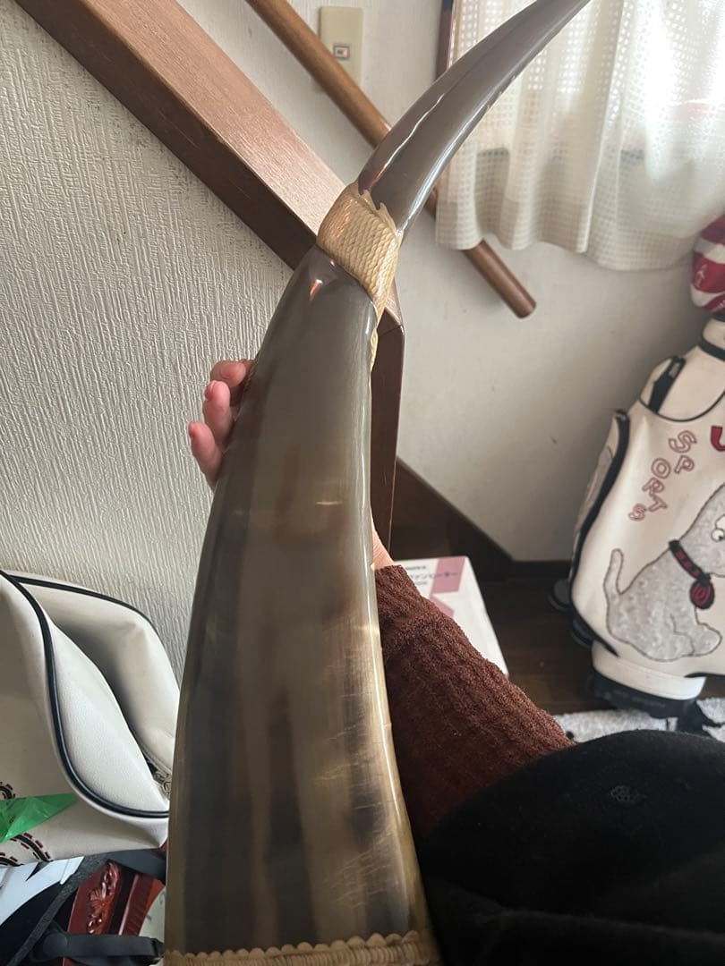 水牛の角 彫刻 龍 ドラゴン 朱雀 神鳥 置物 縁起物