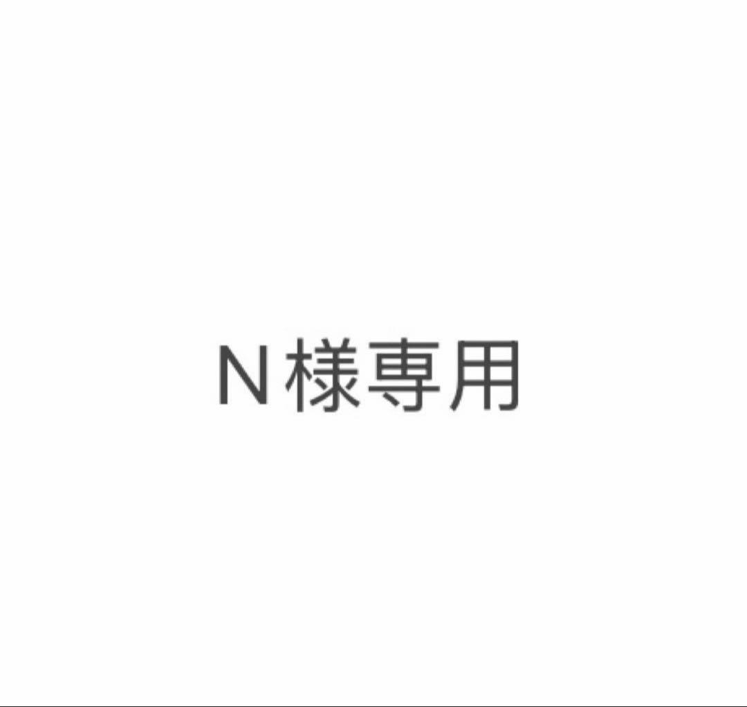 その他 N