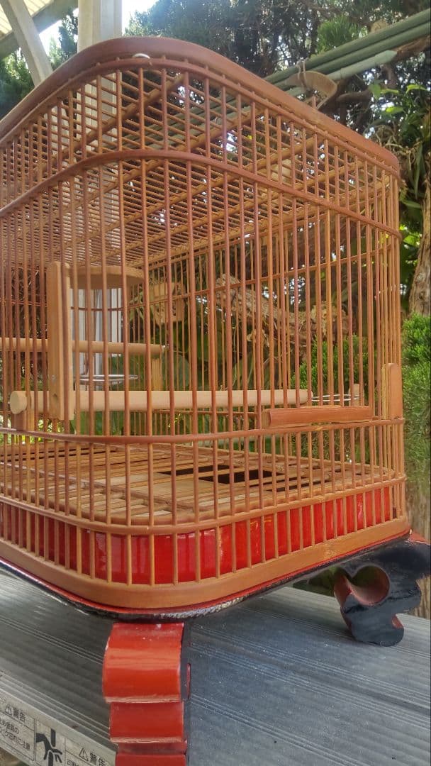 メジロ、ウグイス籠1点物屋根平丸籠