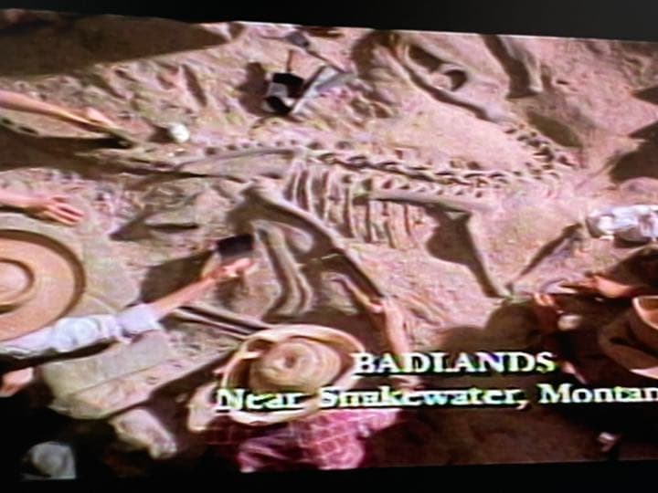 レーザーディスク　プレイヤー