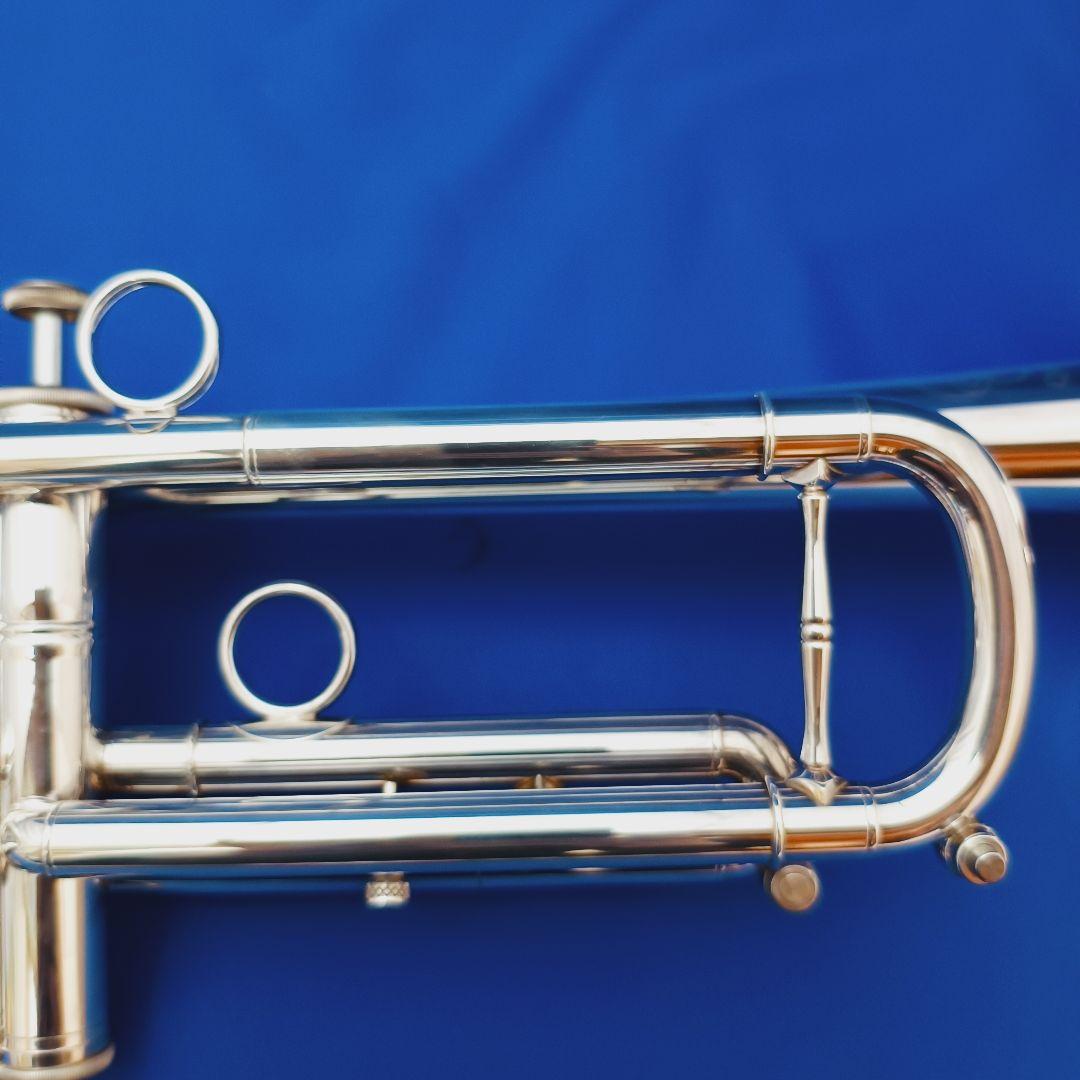 選定品 ZORRO Custom BUILT ModelII