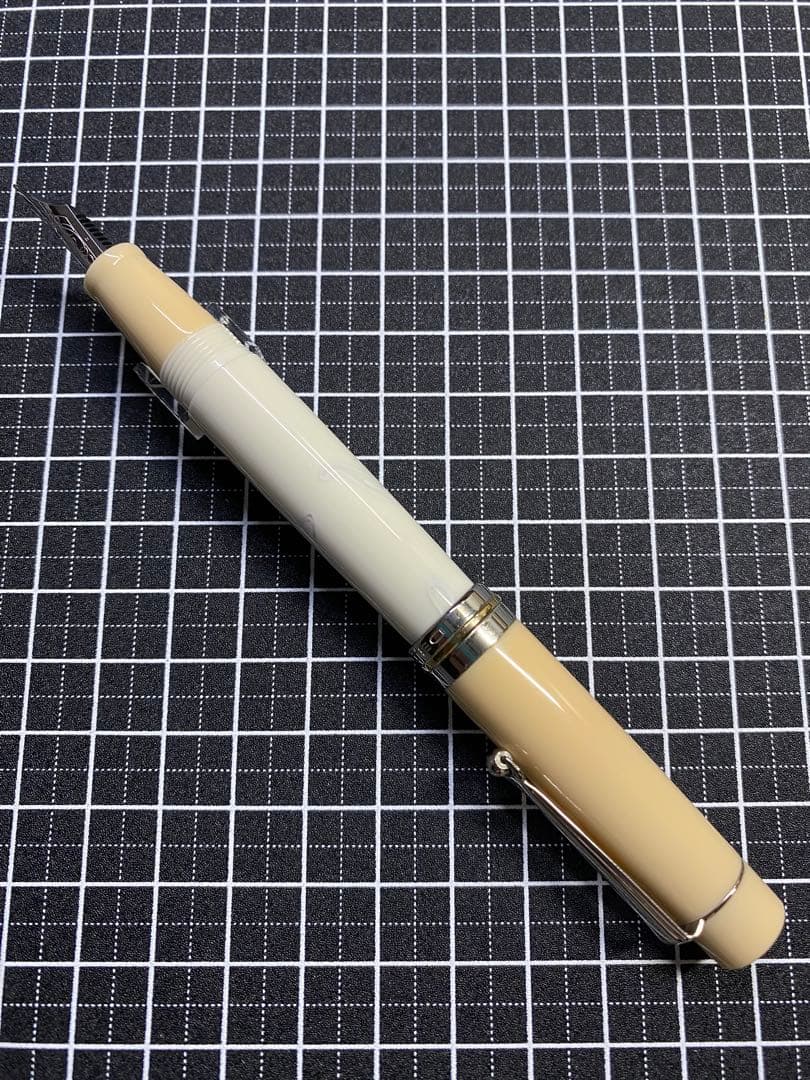 DELTA Vintage Gentile-Donna 万年筆　字幅F